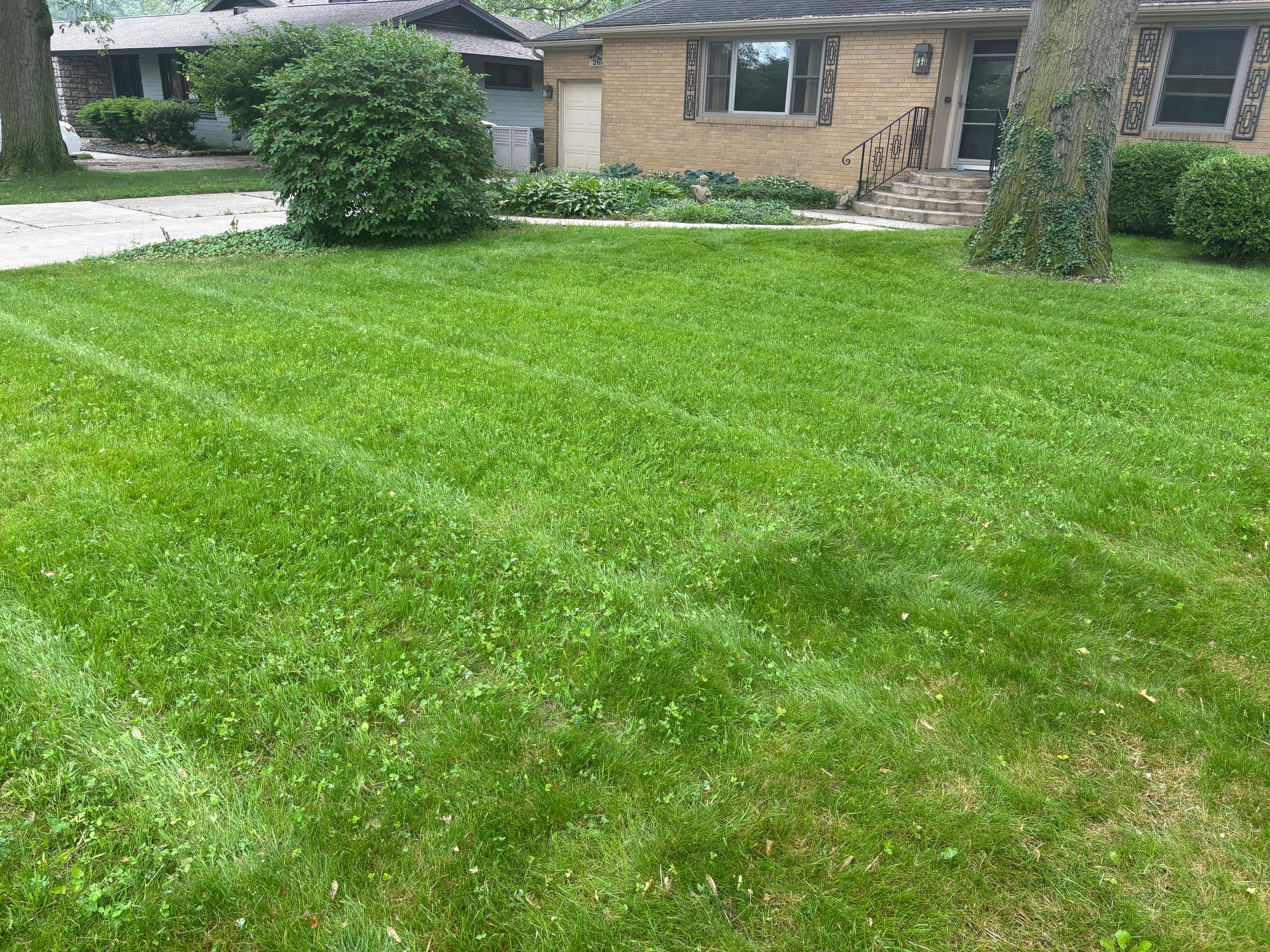 Beautifully manicured lawn by Fincher's Services